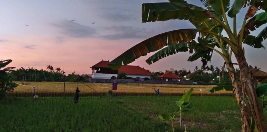 Вилла с 3 спальнями в Lovina, Антуран, Булеленг,  № 8951