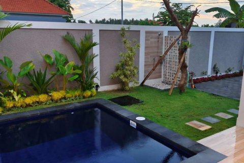 Вилла с 3 спальнями в Lovina, Антуран, Булеленг,  № 8951 8