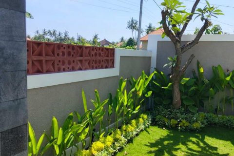 Вилла с 3 спальнями в Lovina, Антуран, Булеленг,  № 8951 11