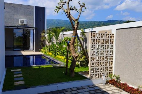 Вилла с 3 спальнями в Lovina, Антуран, Булеленг,  № 8951 12