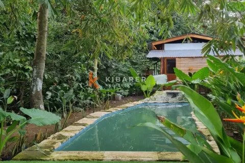 1 bedroom Villa in Tabanan, Indonesia No. 12465