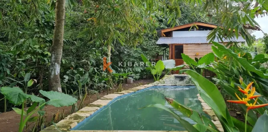 1 bedroom Villa in Tabanan, Indonesia No. 12465