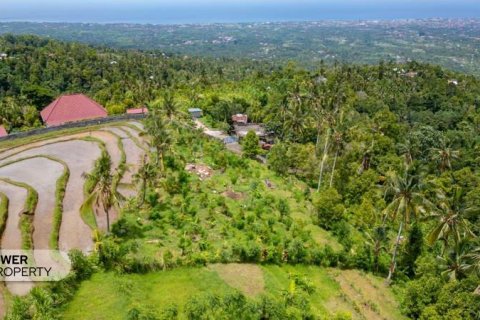 1730m2 Land in Lovina, Anturan, Buleleng,  No. 9332 12
