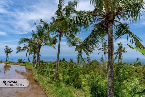 1730m2 Land in Lovina, Anturan, Buleleng,  No. 9332 7