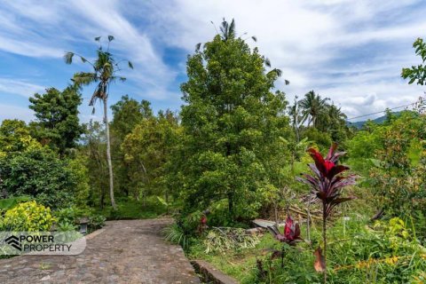 1730m2 Land in Lovina, Anturan, Buleleng,  No. 9332 2