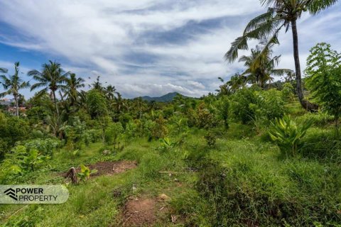 1730m2 Land in Lovina, Anturan, Buleleng,  No. 9332 4