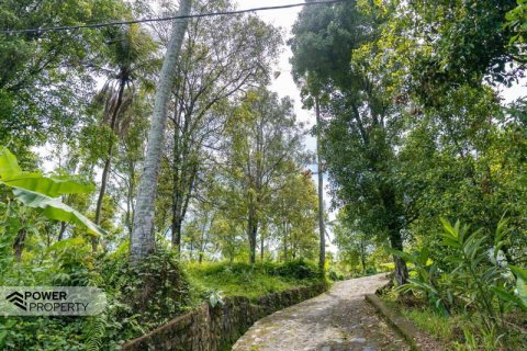 1730m2 Land in Lovina, Anturan, Buleleng,  No. 9332 14