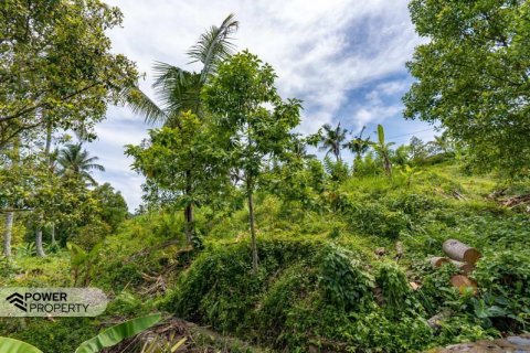 1730m2 Land in Lovina, Anturan, Buleleng,  No. 9332 16