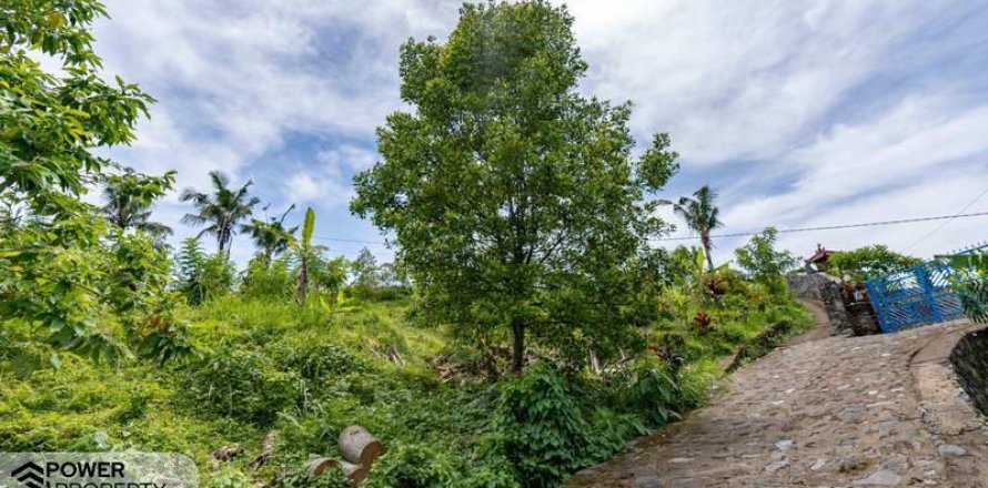 1730m2 Land in Lovina, Anturan, Buleleng,  No. 9332