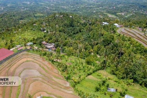 1730m2 Land in Lovina, Anturan, Buleleng,  No. 9332 11