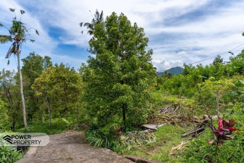 1730m2 Land in Lovina, Anturan, Buleleng,  No. 9332 5