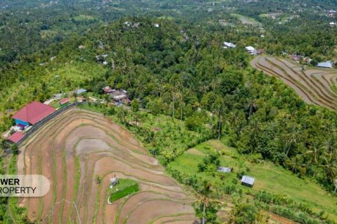 1730m2 Land in Lovina, Anturan, Buleleng,  No. 9332 10