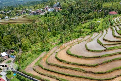 1730m2 Land in Lovina, Anturan, Buleleng,  No. 9332 13