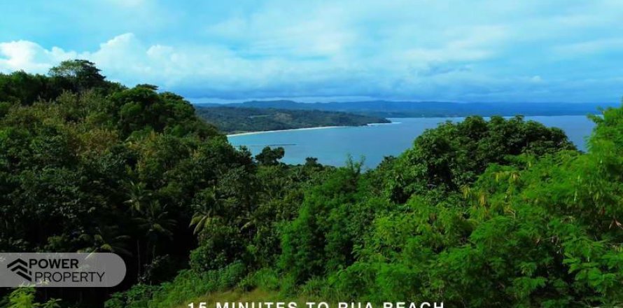 Земельный участок 4002м2 в  № 9331