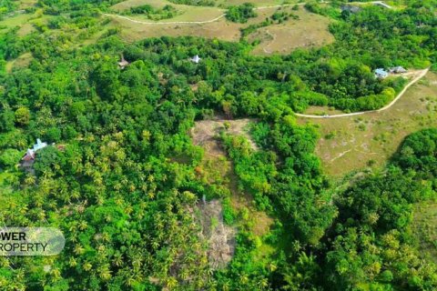 Земельный участок 4002м2 в  № 9331 3