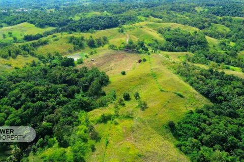 22008m2 Land in  No. 9329 7