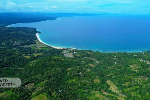 22008m2 Land in  No. 9329 9