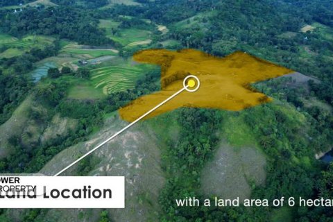 60949m2 Land in  No. 9334 6