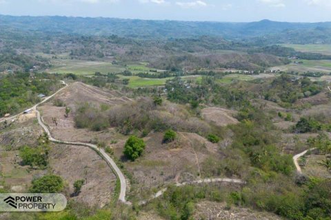 17000m2 Land in  No. 9330 3