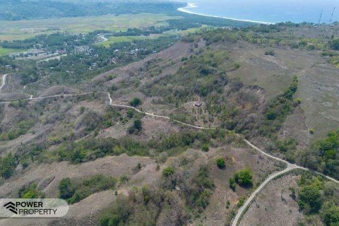 17000m2 Land in  No. 9330 4