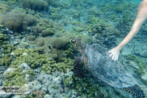 Вилла с 4 спальнями в Gili Meno, Гили-Индах, Северный Ломбок, Индонезия № 13546 20