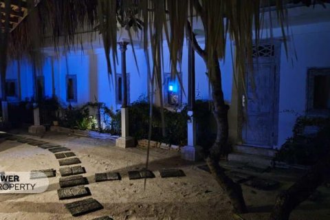 Вилла с 4 спальнями в Gili Meno, Гили-Индах, Северный Ломбок, Индонезия № 13546 3