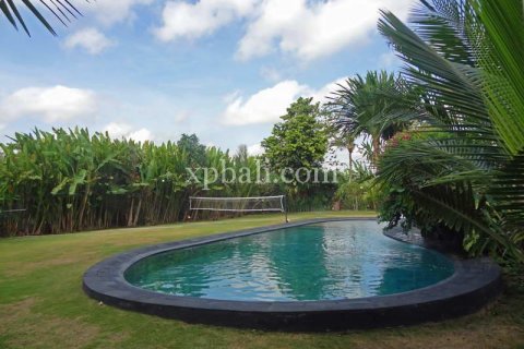 3 bedrooms Villa in Canggu, Badung,  No. 9367 12