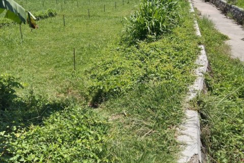Land in Central Lombok, Indonesia No. 13528 2