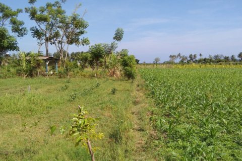 Land in Central Lombok, Indonesia No. 13528 9