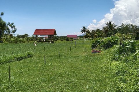 Land in Central Lombok, Indonesia No. 13528 4