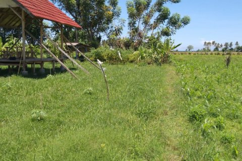 Land in Central Lombok, Indonesia No. 13528 5