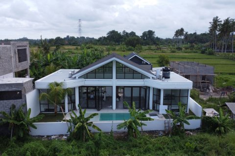 2 bedrooms Villa in Ubud, Gianyar, Indonesia No. 11248
