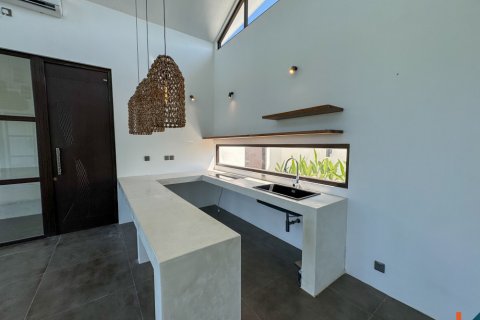 2 bedrooms Villa in Ubud, Gianyar, Indonesia No. 11249 6