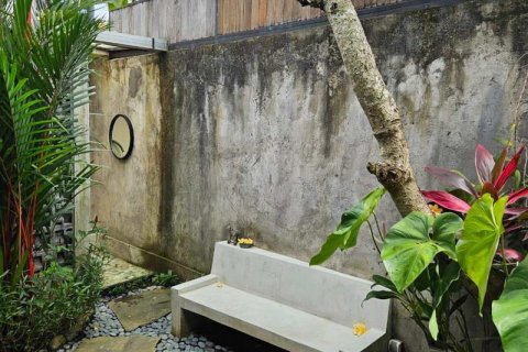 2 bedrooms Villa in Canggu, Badung,  No. 8841 12