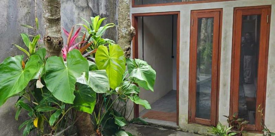 2 bedrooms Villa in Canggu, Badung,  No. 8841