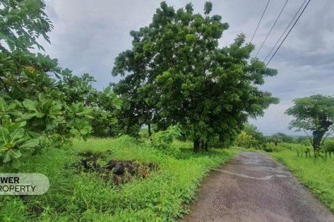 7887m2 Land in Karangasem, Karang Asem,  No. 8923 2