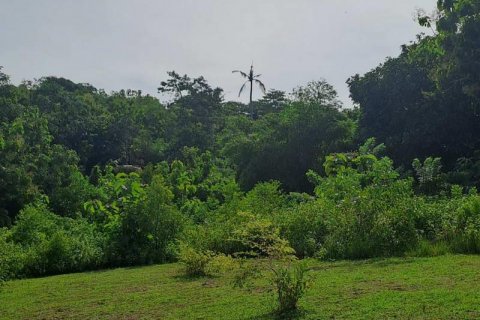 997m2 Land in South Kuta, Badung, No. 9060 2