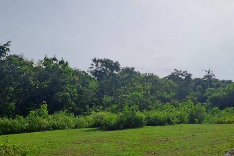 997m2 Land in South Kuta, Badung, No. 9060 6