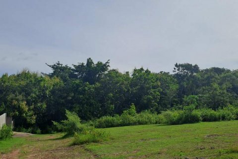 997m2 Land in South Kuta, Badung, No. 9060 7