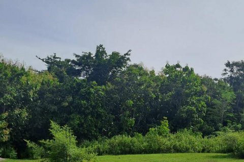 997m2 Land in South Kuta, Badung, No. 9060 3