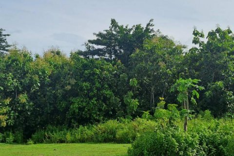 997m2 Land in South Kuta, Badung, No. 9060 4