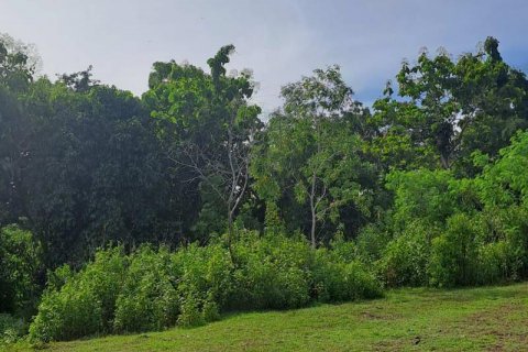 997m2 Land in South Kuta, Badung, No. 9060 12