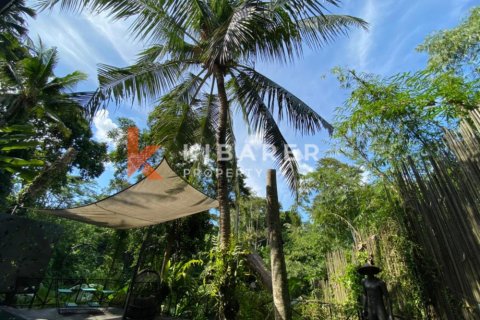 3 bedrooms Villa in Tabanan, Indonesia No. 12164 12