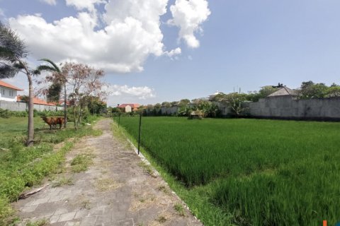 Земельный участок в Seminyak, Бадунг, Индонезия № 11626 5