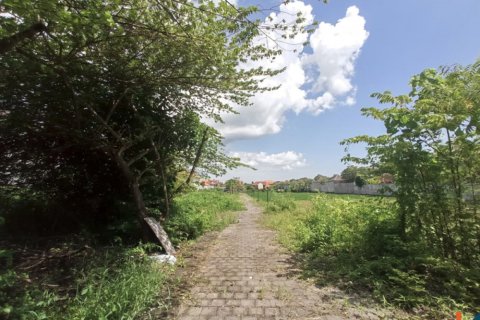 Земельный участок в Seminyak, Бадунг, Индонезия № 11626 12
