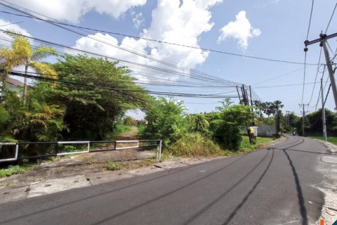 Земельный участок в Seminyak, Бадунг, Индонезия № 11626 4