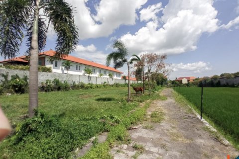 Земельный участок в Seminyak, Бадунг, Индонезия № 11626 2