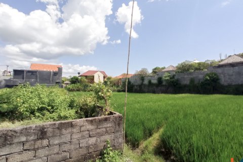 Земельный участок в Seminyak, Бадунг, Индонезия № 11626 10