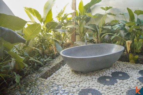 12 bedrooms Villa in Lovina, Anturan, Buleleng, Indonesia No. 11629 29