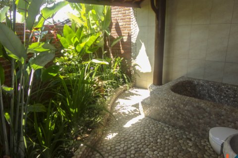12 bedrooms Villa in Lovina, Anturan, Buleleng, Indonesia No. 11629 5